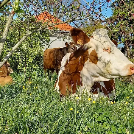 Imaginaire * Maubourguet